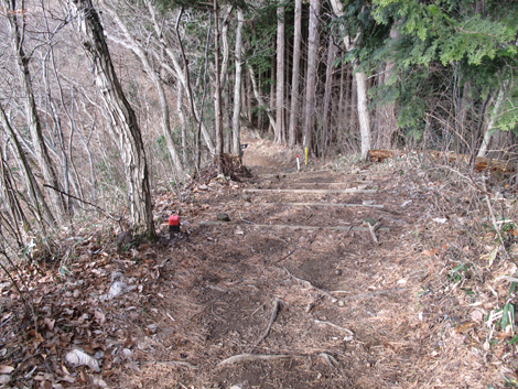 20161229hike (76)